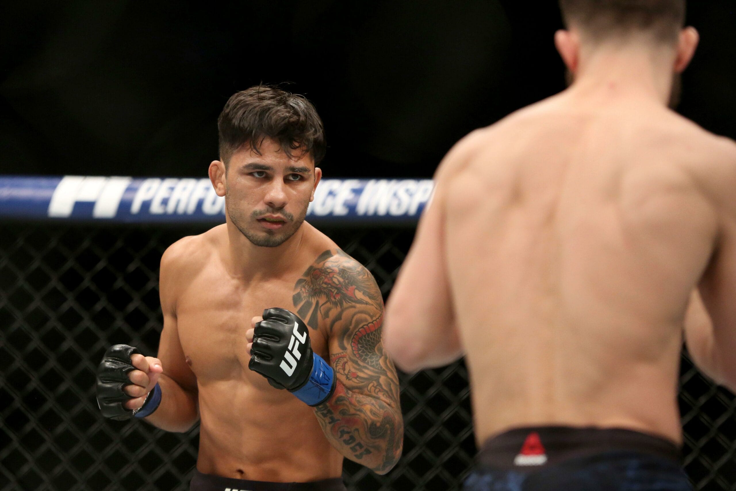 Alexandre Pantoja No Ufc Trajet Ria E Resultados Sportingbet